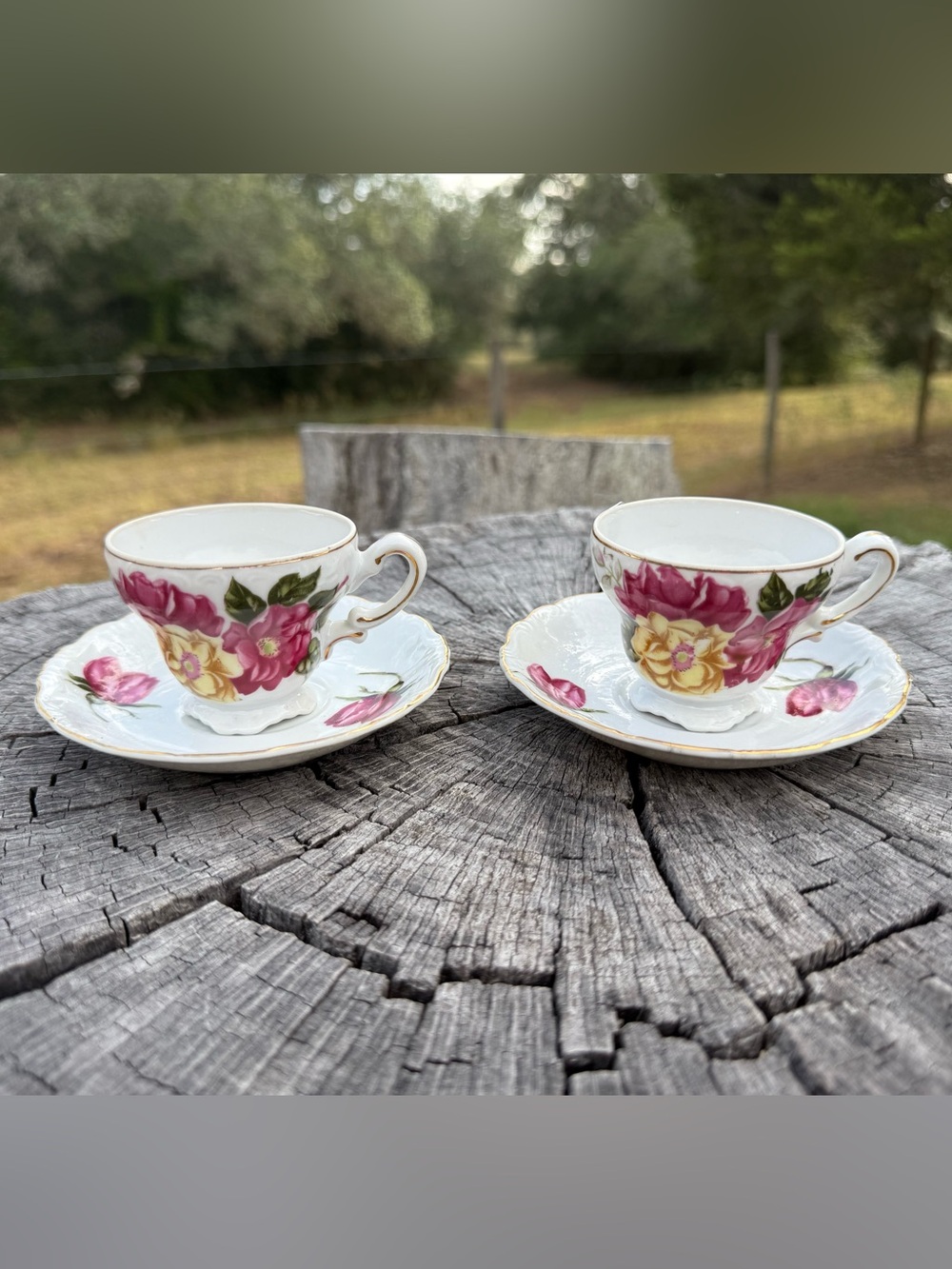 Floral Porcelain Teacup and Saucer Set